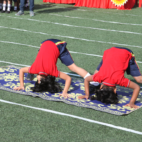 nursery school in Chinchwad walhekarwadi pune