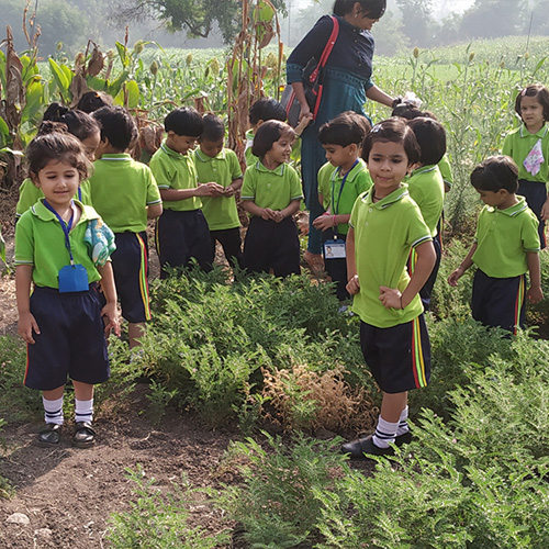 nursery school in Chinchwad walhekarwadi pune