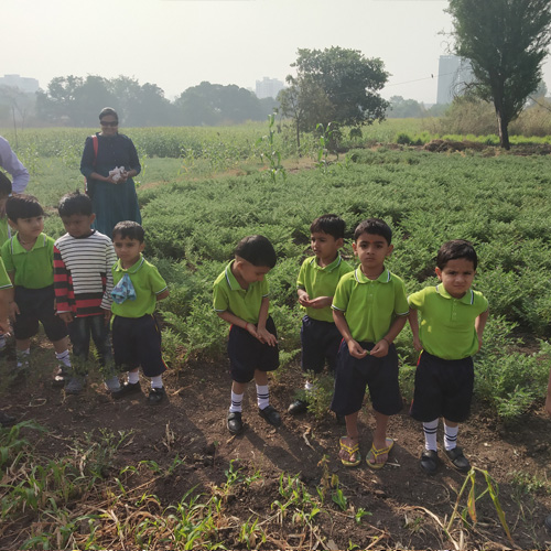 nursery school in Chinchwad walhekarwadi pune