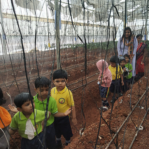 nursery school in Chinchwad walhekarwadi pune